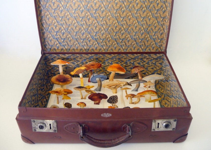 Mémoire de paysage Mémoire de paysage