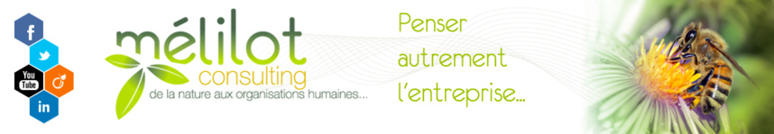 Henry Duchemin aide les entreprises à faire leur miel Henry Duchemin aide les entreprises à faire leur miel