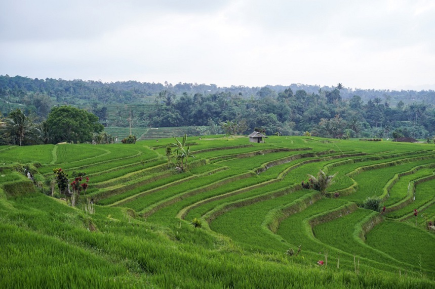 Le voyage de Lou-Ann Le voyage de Lou-Ann