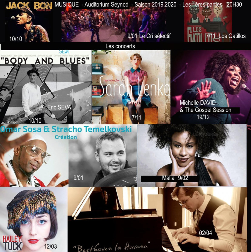 De la musique à l’Auditorium de Seynod, quoi de plus naturel ? De la musique à l’Auditorium de Seynod, quoi de plus naturel ?