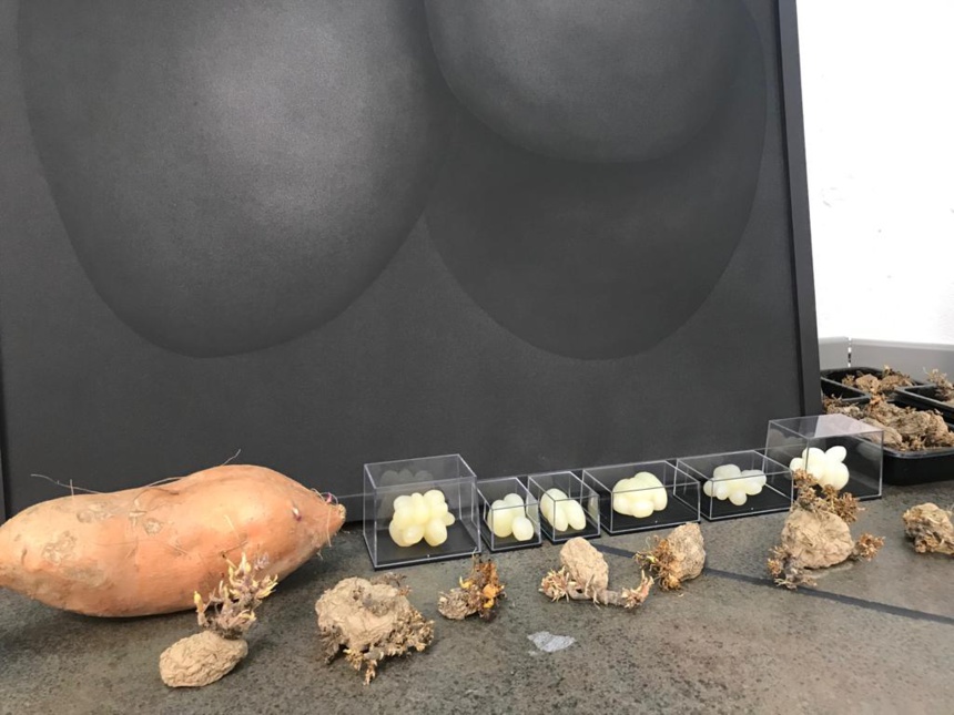 Art et nourriture Art et nourriture