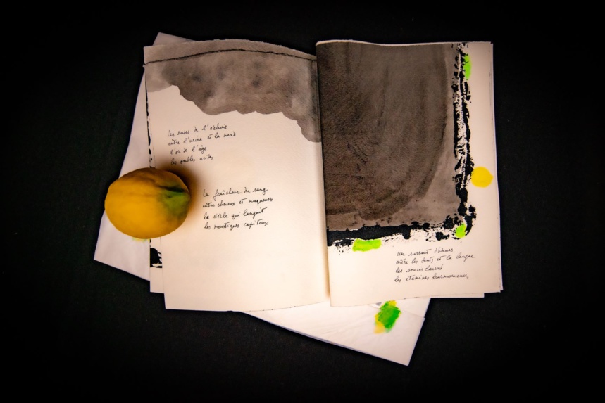 M. Butor et F. Appy,entre le zist et le zest © Kaptura M. Butor et F. Appy,entre le zist et le zest © Kaptura