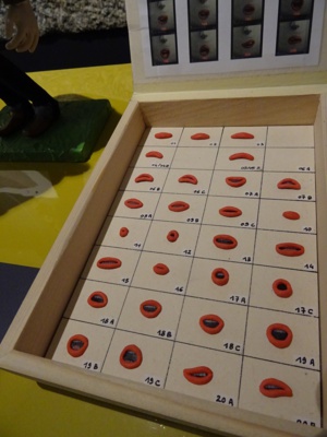 Courgette: la boîte à expressions de la bouche ©Paul Rassat Courgette: la boîte à expressions de la bouche ©Paul Rassat