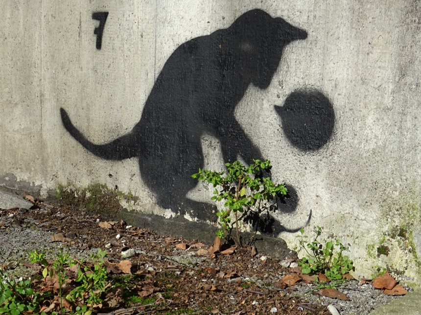 La "faune" du site La "faune" du site