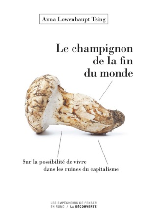 Le champignon de la fin du monde - Anna Lowenhaupt TSING Le champignon de la fin du monde - Anna Lowenhaupt TSING