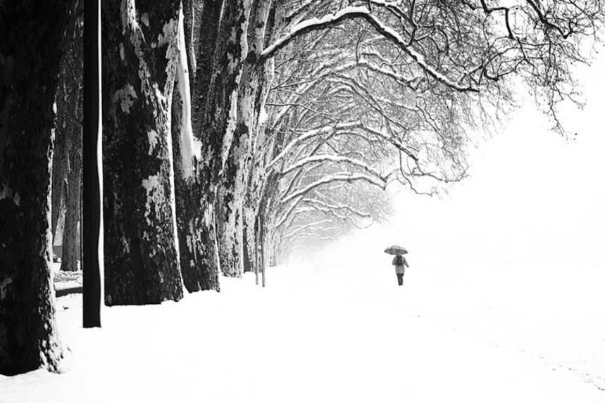 Photo © Eric Monvoisin Photo © Eric Monvoisin