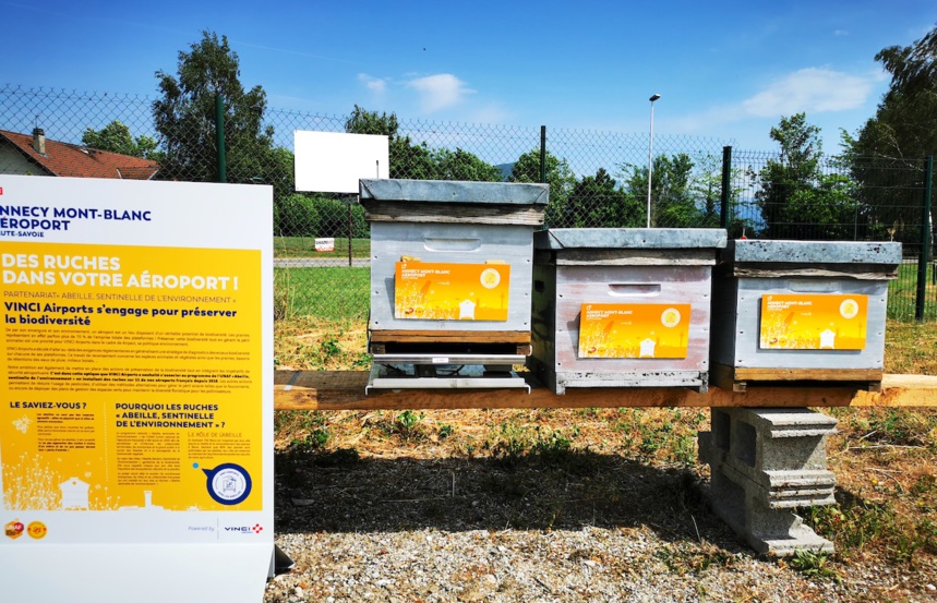 Les abeilles ont maintenant leur piste d'atterrissage à l’aéroport Annecy ! Les abeilles ont maintenant leur piste d'atterrissage à l’aéroport Annecy !