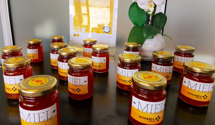 Les abeilles ont maintenant leur piste d'atterrissage à l’aéroport Annecy ! Les abeilles ont maintenant leur piste d'atterrissage à l’aéroport Annecy !