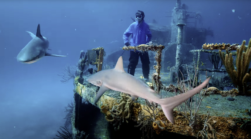 Video Top To Bottom © Kevin Rolland Video Top To Bottom © Kevin Rolland