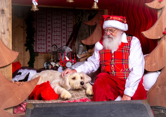 Le hameau de Noël permet de découvrir la demeure du Père Noël © Le Grand Parc d'Andilly