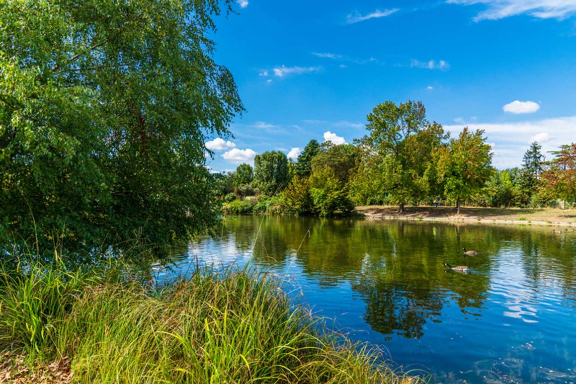 Top 15 des Choses à Faire au Bois de Boulogne de Paris