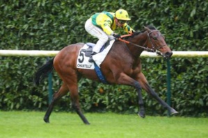 L'Hippodrome de Longchamp permet d'assister à des courses de cheval impressionnantes © Photo Daylight : scoopdyga.com
