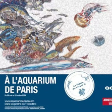 Par ici la sortie ! Les Expositions Incontournables à Paris Par ici la sortie ! Les Expositions Incontournables à Paris