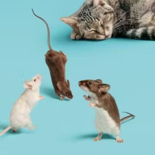 Par ici la sortie ! Les Expositions Incontournables à Paris Par ici la sortie ! Les Expositions Incontournables à Paris