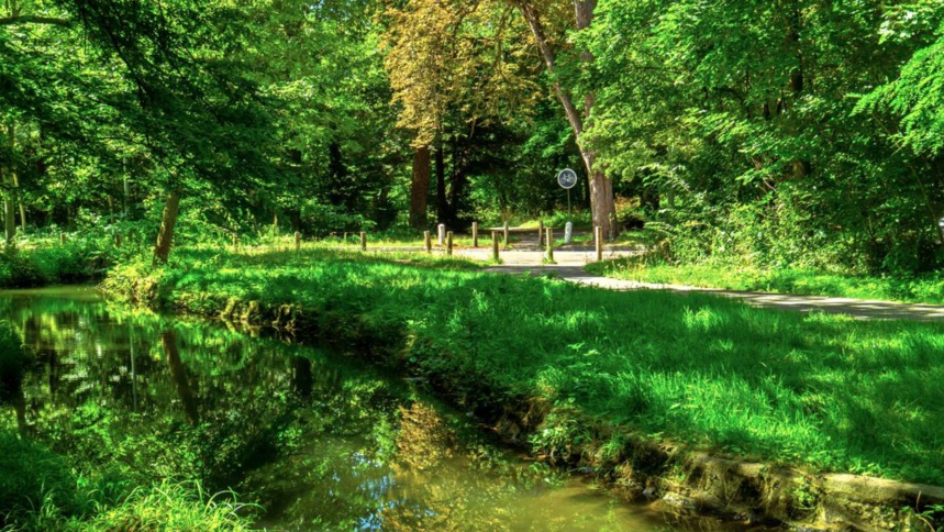 En raison des JO, la fête des Tuileries déménage au bois de Boulogne © Dreamland Scape En raison des JO, la fête des Tuileries déménage au bois de Boulogne © Dreamland Scape