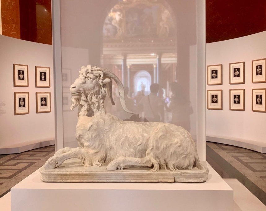 L'exposition permet de bien voir la beauté des sculptures, c'est le cas de la statue du bouc, dite "Il Caprone"© Move-On Mag L'exposition permet de bien voir la beauté des sculptures, c'est le cas de la statue du bouc, dite "Il Caprone"© Move-On Mag