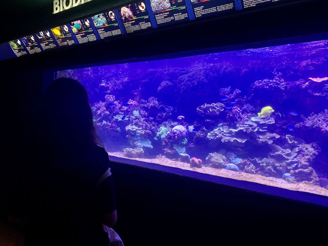 Découvrez l'aquarium tropical de Porte Dorée © Move-On Mag Découvrez l'aquarium tropical de Porte Dorée © Move-On Mag