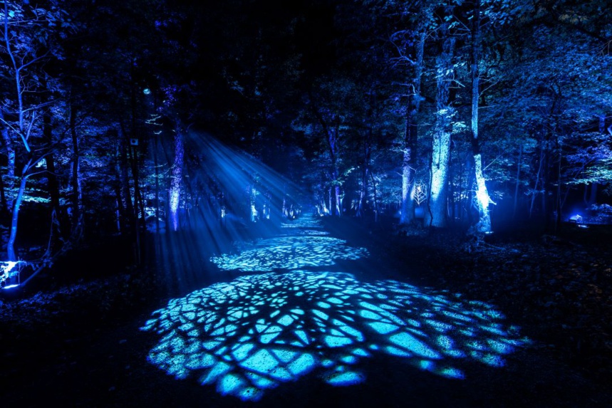 La Forêt Interdite d'Harry Potter : Plusieurs jeux de lumière sont proposés pendant toute la visite © Fever La Forêt Interdite d'Harry Potter : Plusieurs jeux de lumière sont proposés pendant toute la visite © Fever