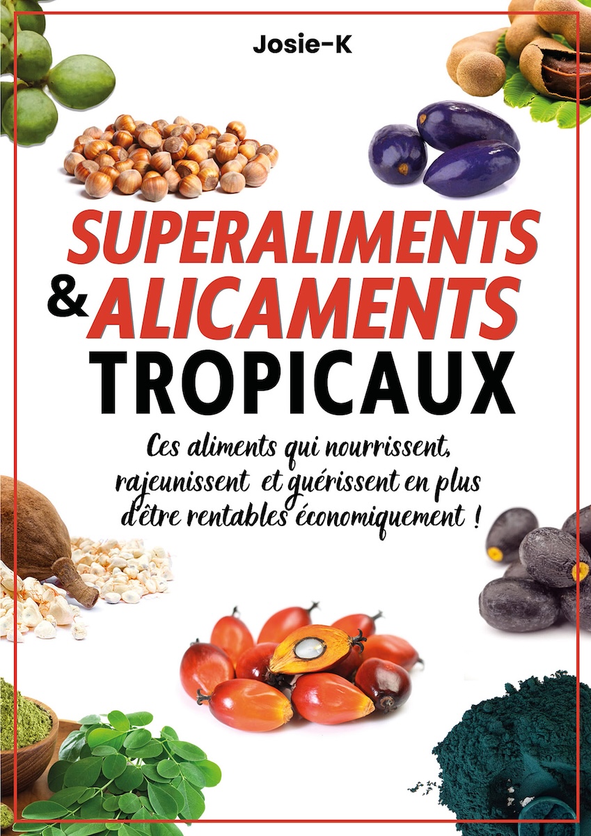Le livre Superaliments & Aalicaments tropicaux de JOSIE-K Le livre Superaliments & Aalicaments tropicaux de JOSIE-K