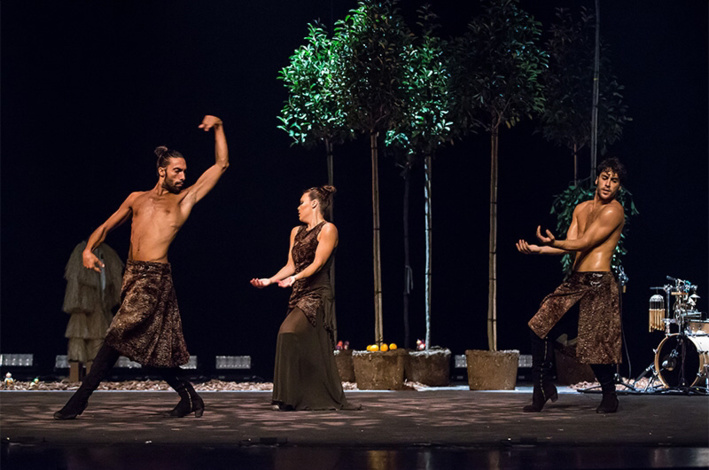 Bosque Ardora. La forêt ardente ! Bosque Ardora. La forêt ardente !