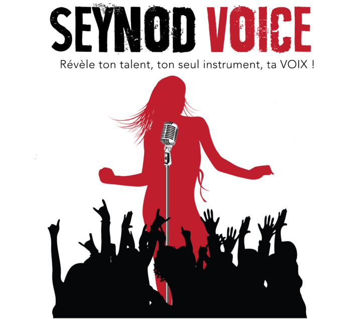 Seynod Voice 2016, top départ avec les sélections ! Seynod Voice 2016, top départ avec les sélections !