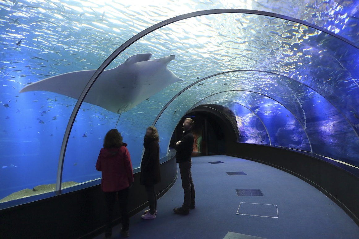 © Nausicaá - le plus grand aquarium d’Europe