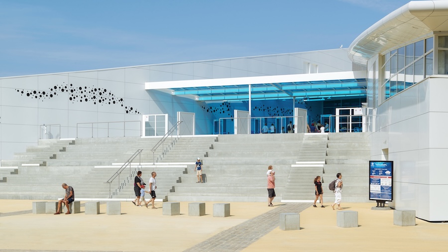 © Nausicaá - le plus grand aquarium d’Europe © Nausicaá - le plus grand aquarium d’Europe