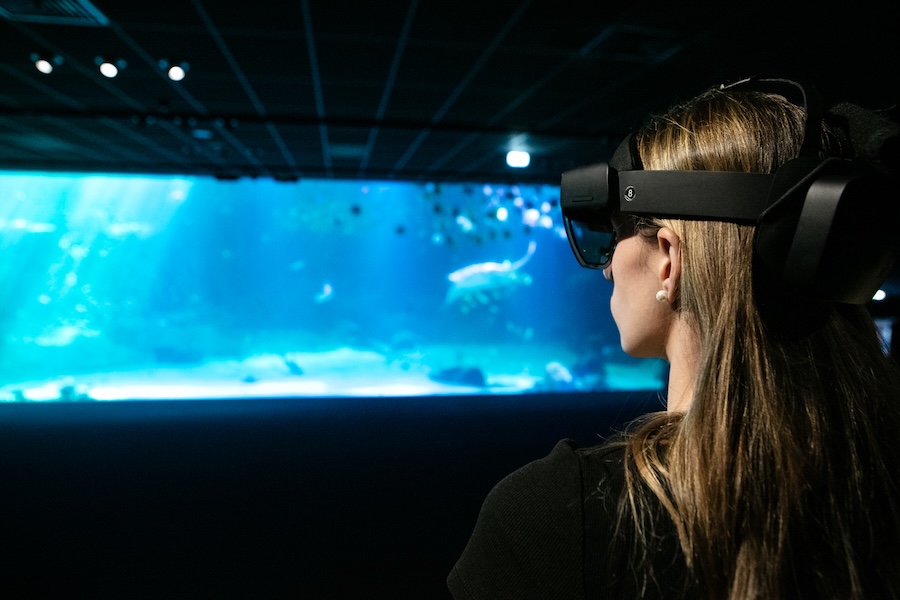 © Nausicaá - le plus grand aquarium d’Europe © Nausicaá - le plus grand aquarium d’Europe