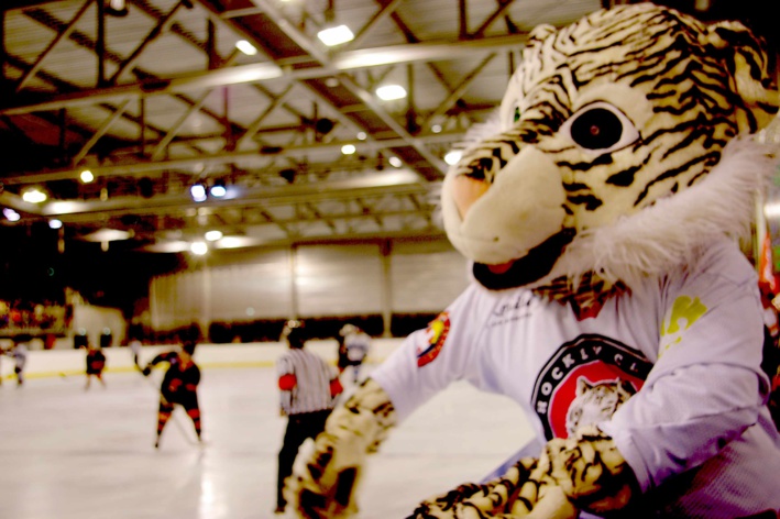 Hockey sur glace: Un match, une initiative, une belle réussite! 