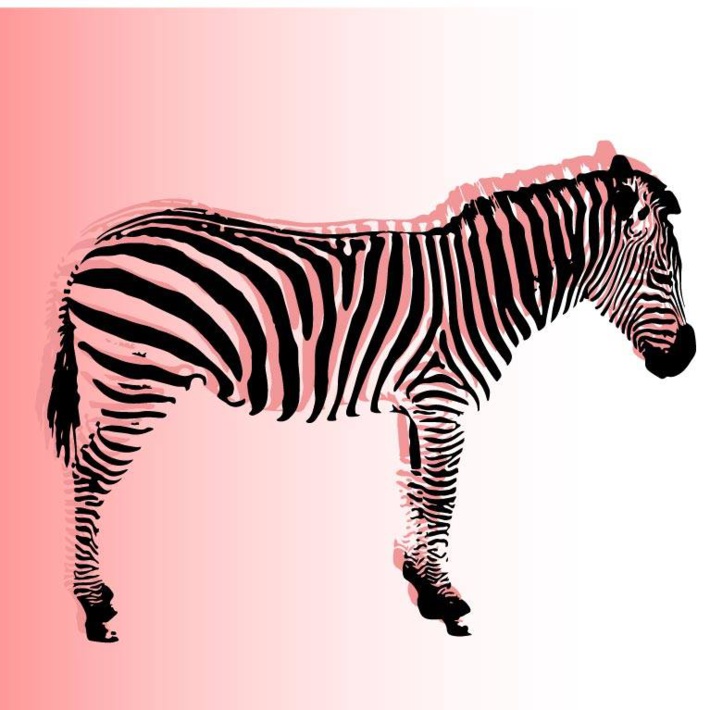 SAVANE SONORE, le Samedi 14 Mai 2016 chez Mamie Jane à Aix-les-Bains SAVANE SONORE, le Samedi 14 Mai 2016 chez Mamie Jane à Aix-les-Bains