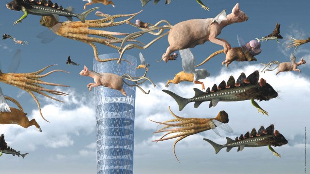 Découvrez l'expo projection INVERSO MUNDUS au Haras d'Annecy Découvrez l'expo projection INVERSO MUNDUS au Haras d'Annecy