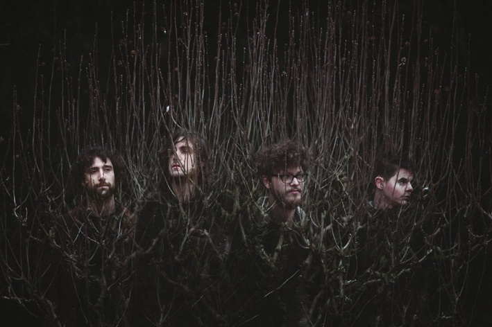 Julie Cherki Julie Cherki