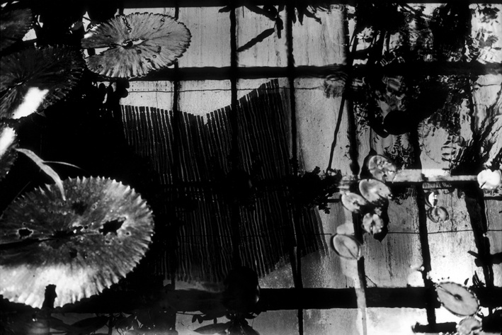 Exposition des photographies de Pierre Vallet Exposition des photographies de Pierre Vallet