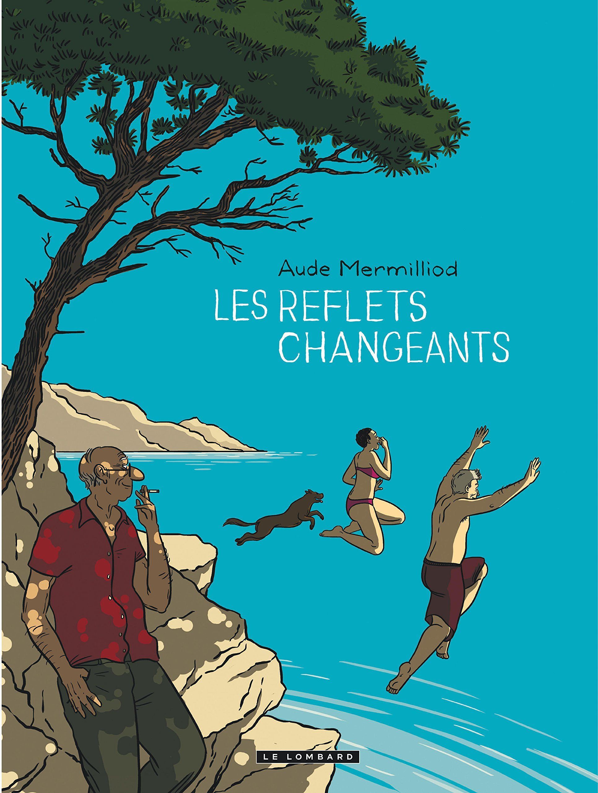 "Les reflets changeants" d'Aude Mermilliod "Les reflets changeants" d'Aude Mermilliod