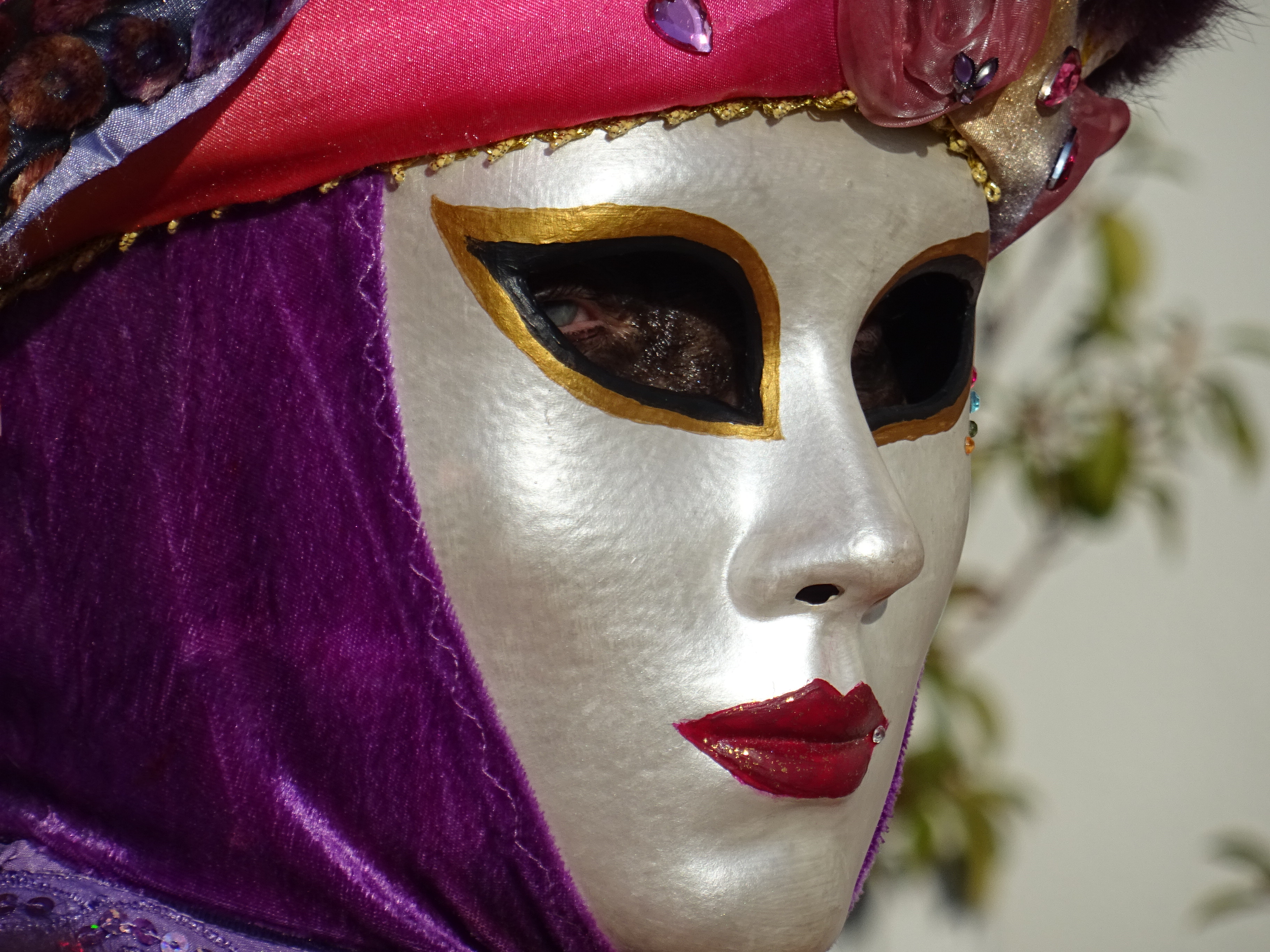 Carnaval Vénitien de la Venise des Alpes ©Paul Rassat
