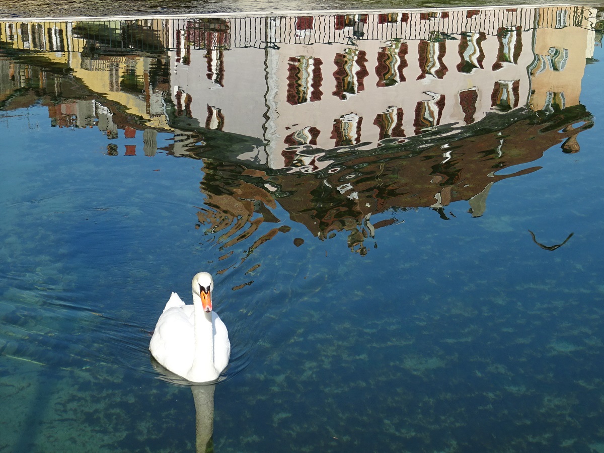 Annecy by day / Piaf, le retour