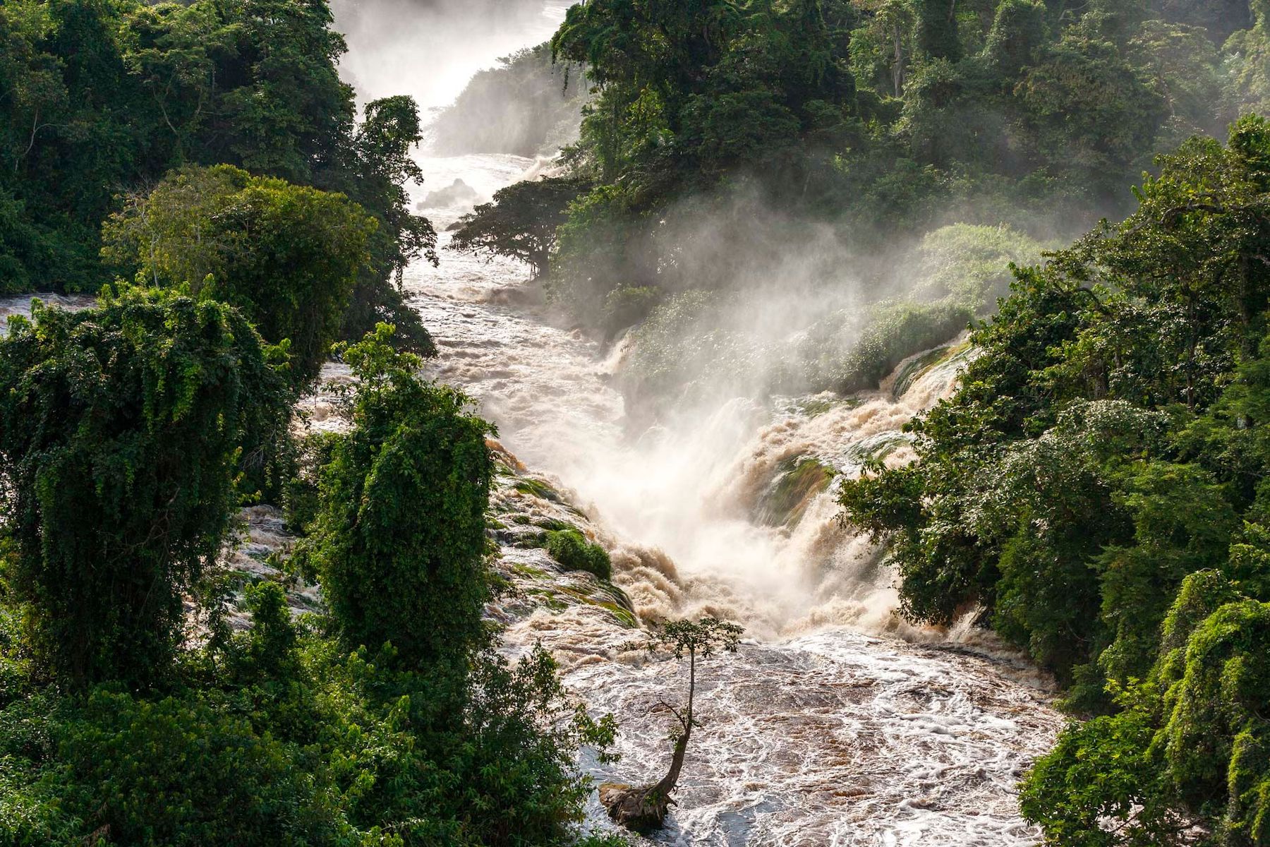 Cataractes de la rivière Idivo, Parc national de l’Ivindo, province de l'Ogooué-Ivindo, Gabon © Legacy