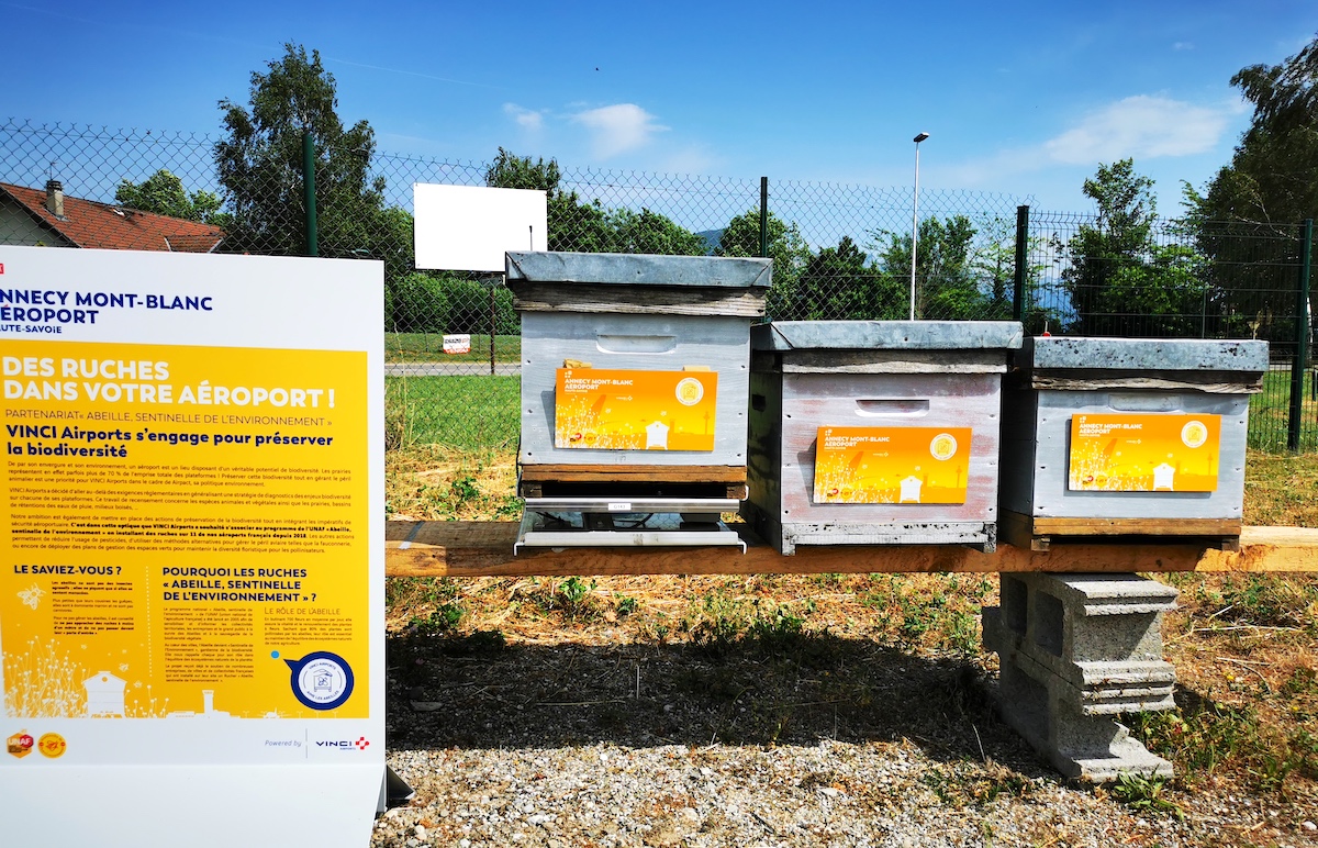 Les abeilles ont maintenant leur piste d'atterrissage à l’aéroport Annecy !