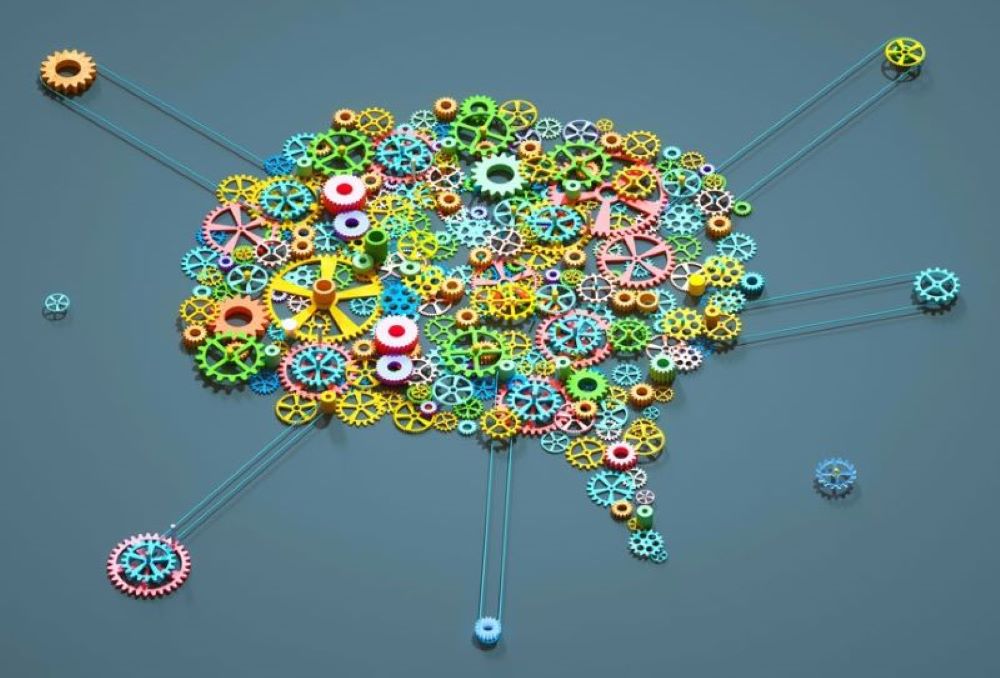 La semaine du cerveau © La cité des sciences et de l'industrie La semaine du cerveau © La cité des sciences et de l'industrie