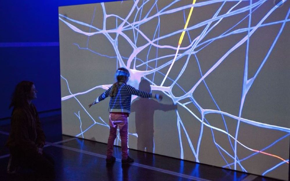 La semaine du cerveau met les enfants à l'honneur © N. Breton / EPPDCSI La semaine du cerveau met les enfants à l'honneur © N. Breton / EPPDCSI