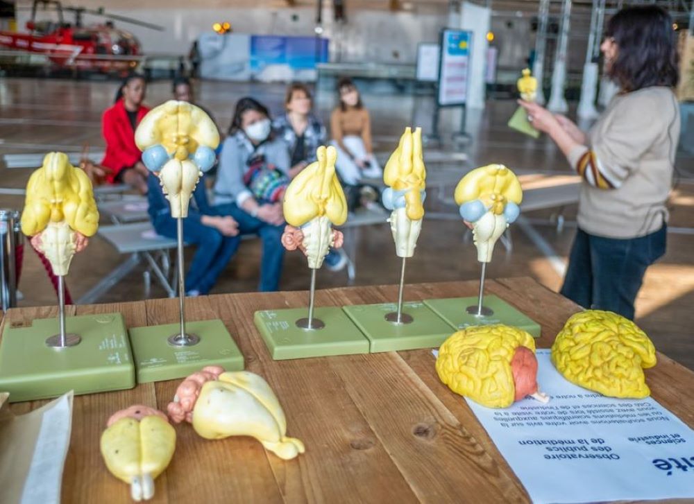 La cité des sciences organisent des conférences pour cette semaine du cerveau © La Cité des sciences et de l'industrie La cité des sciences organisent des conférences pour cette semaine du cerveau © La Cité des sciences et de l'industrie