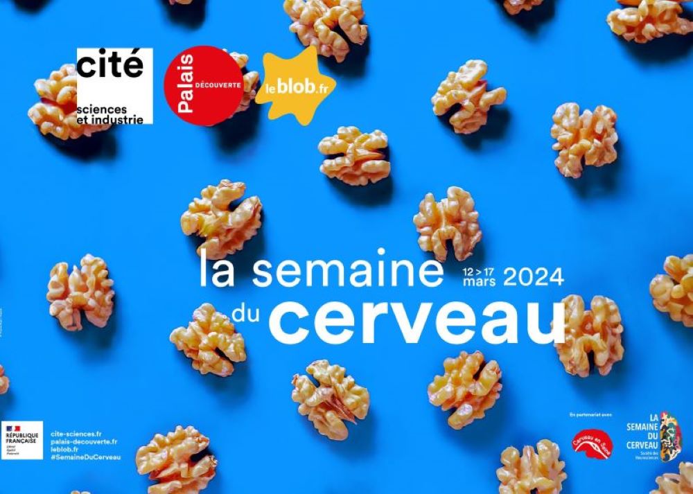 affiche de la semaine du cerveau à la cité des sciences et au palais de la découverte affiche de la semaine du cerveau à la cité des sciences et au palais de la découverte