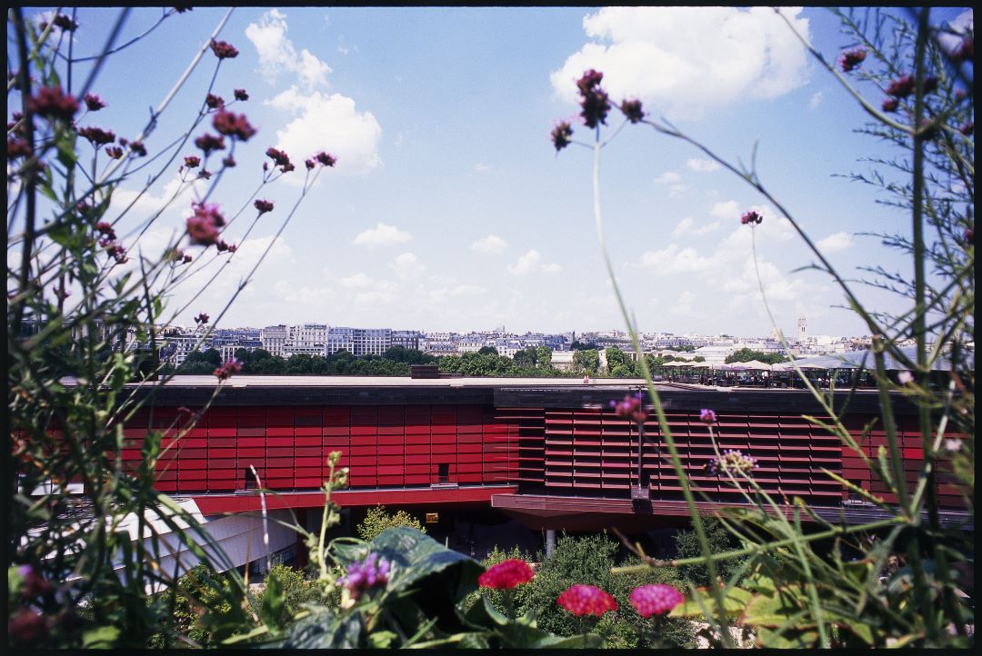 Le jardin du quai Branly est un lieu prospère pour se reposer © musée du quai Branly - Jacques Chirac, photo Dolorès Marat