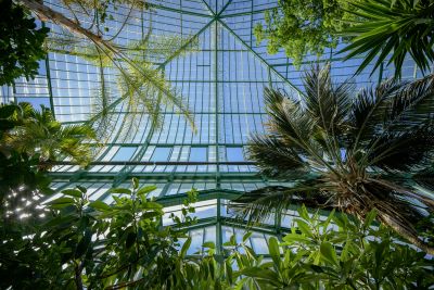 Le Jardin des serres d'Auteuil permet de voir une multitude de plantes et de fleurs © Frédéric Combeau/ marie de Paris