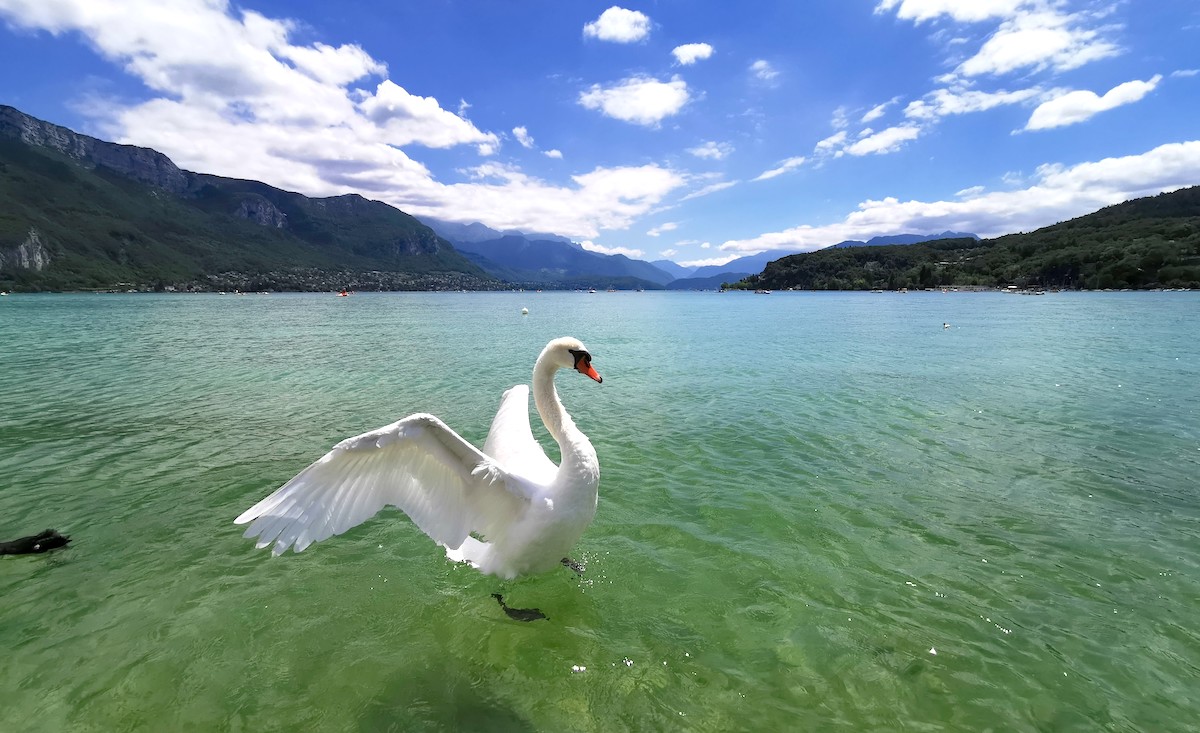 Un signe sur le lac d'Annecy @ Damien Tiberio Un signe sur le lac d'Annecy @ Damien Tiberio