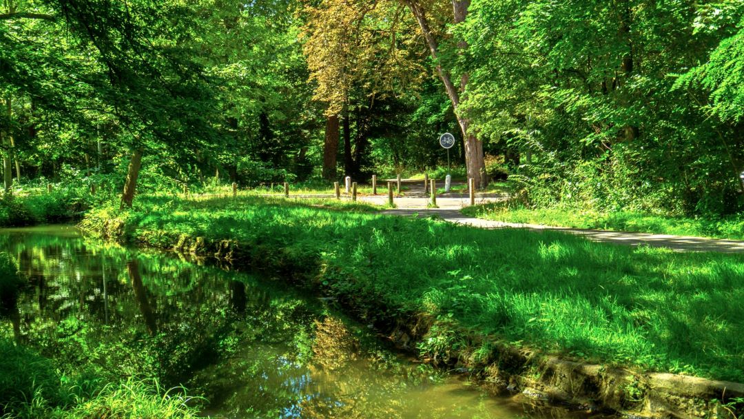 En raison des JO, la fête des Tuileries déménage au bois de Boulogne © Dreamland Scape En raison des JO, la fête des Tuileries déménage au bois de Boulogne © Dreamland Scape