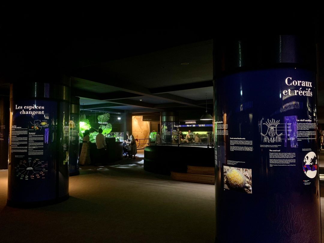 L'aquarium met en avant les préoccupations environnementales et la protection des océans © Move-On Mag L'aquarium met en avant les préoccupations environnementales et la protection des océans © Move-On Mag