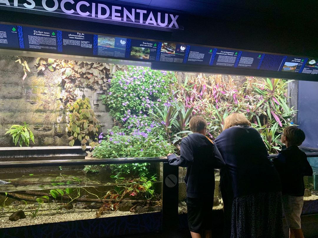 C'est un véritable moment à partager en famille © Move-On Mag C'est un véritable moment à partager en famille © Move-On Mag