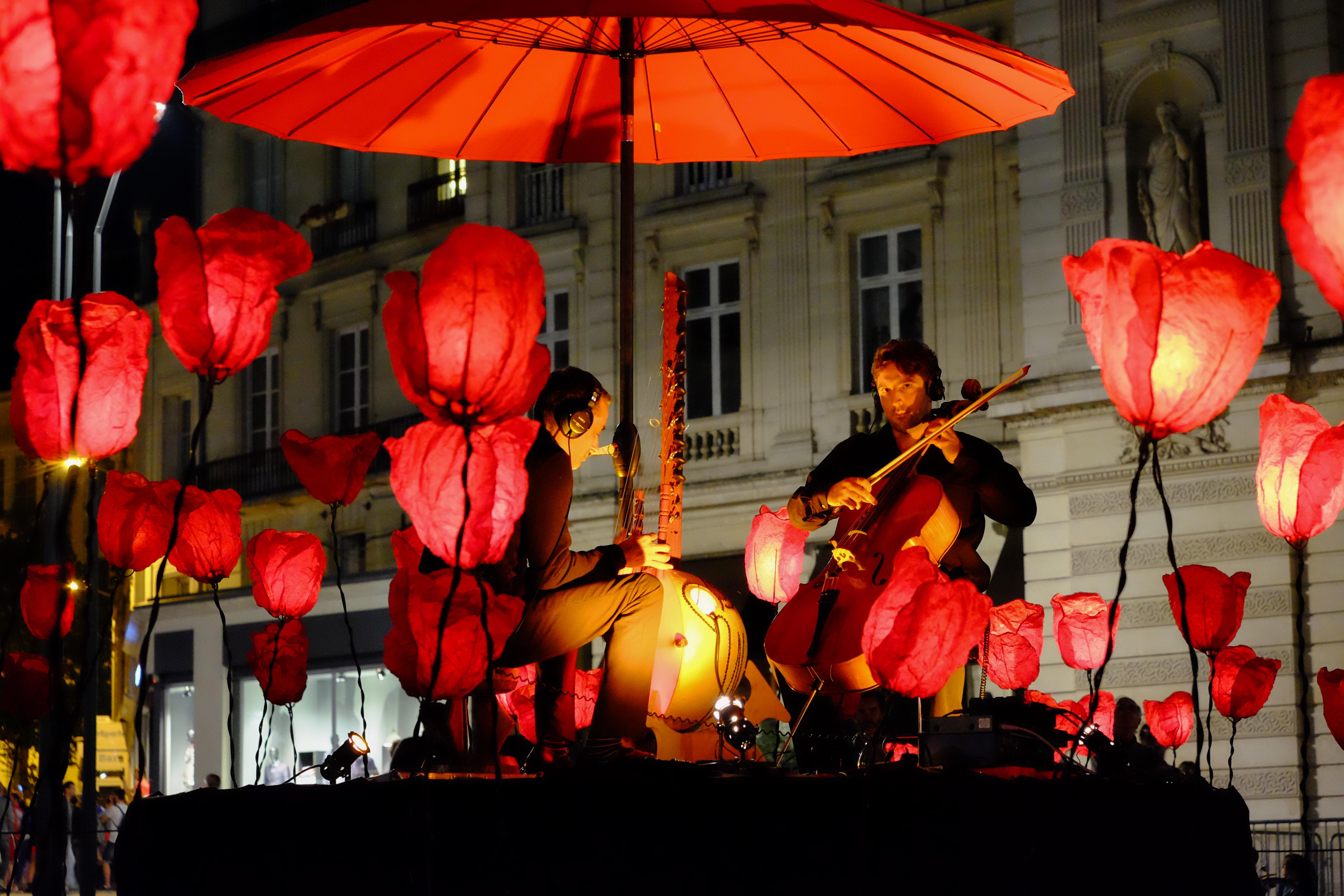 Le chant des coquelicots Fredandco Christophe. Copyright /Cassagne