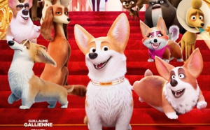 « Royal Corgi », scandalously drôle !